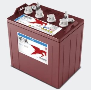 T-875 8V Flooded Lead Acid Battery