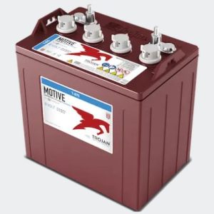 T-875 8V Flooded Lead Acid Battery